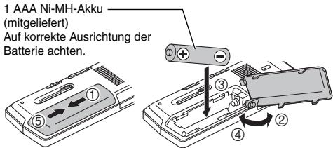 PANASONIC RR-XS410E-W - Einlagen der Batterie - 1