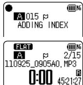 PANASONIC RR-XS410E-W - Adding index - 1