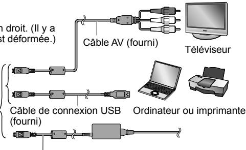 PANASONIC LUMIX DMC-TZ7 - Utiliser l'adaptateur multi conversion (en option) - 2