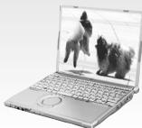 PANASONIC LUMIX DMC-TZ7 - Sauvegardez vos photos pour en profiter ! - 1