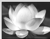 PANASONIC LUMIX DMC-TZ7 - Grand angulaire - 1