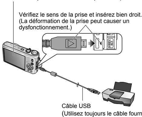 PANASONIC LUMIX DMC-TZ7 - Configuration : - 1