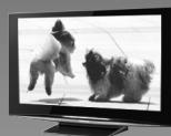PANASONIC LUMIX DMC-TZ7 - Fonction de reconnaissance de visage T27 (p. 65) - 2