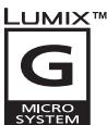 PANASONIC DMCGF6EG - Beknopte gebruiksaanwijzing - 1