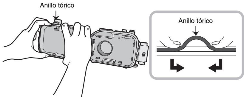 PANASONIC LUMIX DMW-MCTZ20E - Afloje el anillo tórico con sus dedos para quitarlo. - 1