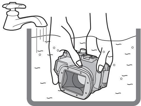 PANASONIC LUMIX DMW-MCTZ20E - Sumerja el estuche en agua fresca durante 30关键时刻 o más sin quitar la CAMERA digital para sacar los cristales de sal etc. - 1