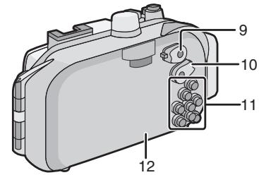 PANASONIC LUMIX DMW-MCTZ20E - About preparation - 2