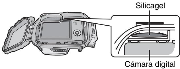 PANASONIC LUMIX DMW-MCTZ20E - Notas - 3