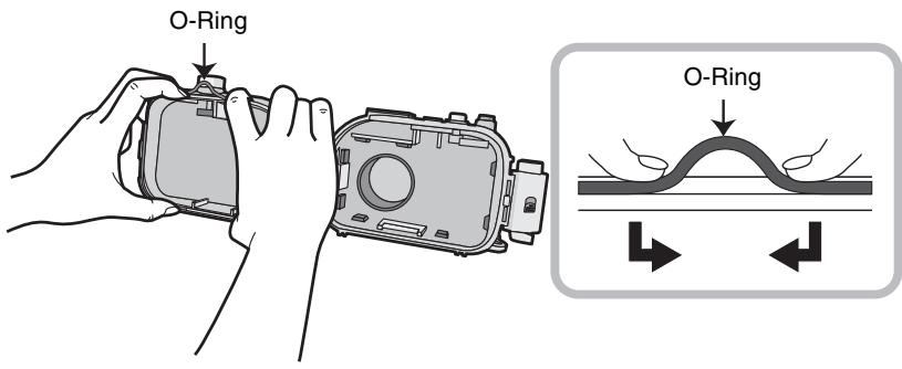 PANASONIC LUMIX DMW-MCTZ20E - Den O-Ring zum Entfernen mit den Fingern offen. - 1