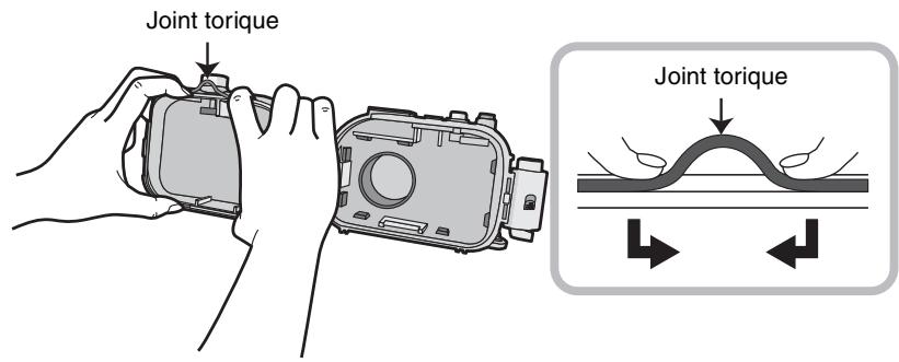 PANASONIC LUMIX DMW-MCTZ20E - Desserrez le joint torque avec vos doigs pour l'enlever. - 1