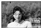 PANASONIC NV-GS24 - Motif de zébrues - 2
