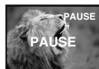PANASONIC NV-GS24 - Enregistrement sur bande - 5