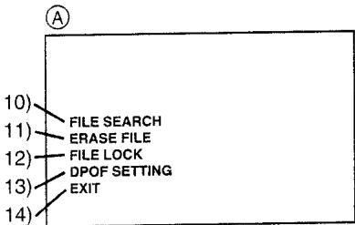 PANASONIC NV-GS1 - Sous-menu [Effacer le fichier de carte] - 5