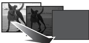 PANASONIC NV-GS230EG - Pause d'enregistrement. (fondu de fermeture) - 1