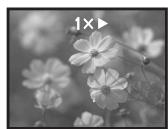 PANASONIC NV-GS230EG - Fonction de recherche à vitesse variable - 1