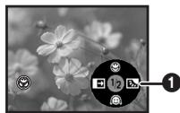 PANASONIC NV-GS230EG - Fonction télé-macro - 2