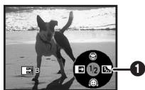 PANASONIC NV-GS230EG - Fondu de fermeture - 2