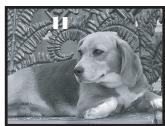 PANASONIC NV-GS60EG - Registrazione su nastro - 3