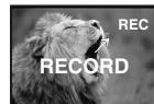 PANASONIC PV-GS400 - Recording on a Tape - 4