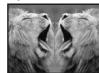 PANASONIC PV-GS400 - Digital Effects 1 [EFFECT1] - 8