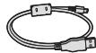 PANASONIC HX-A100 - Cable USB - 1
