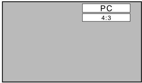 PANASONIC TH-42PHD6EX - Mise en service, mise hors service - 3