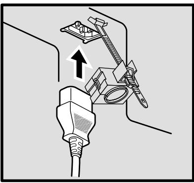 PANASONIC TH-42PHD6EX - Raccordement du cordon d'alimentation - 2