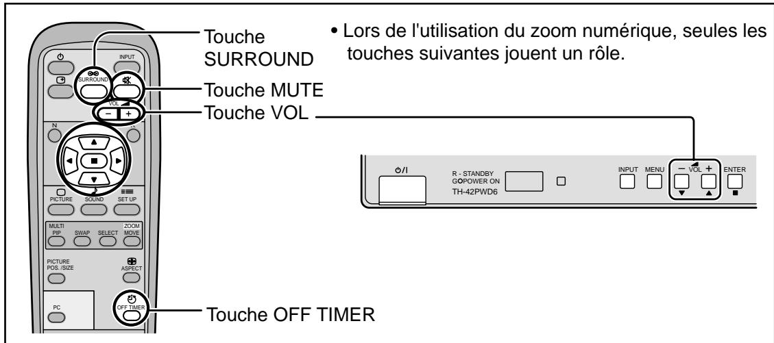 PANASONIC TH-42PHD6EX - Zoom numérique - 4