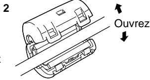 PANASONIC TH-42PHD6EX - Raccordement aux bornes d'entrée d'ordinateur (PC) - 3