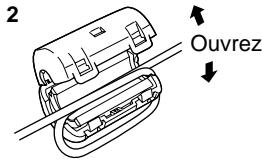 PANASONIC TH-42PHD6EX - Raccordement aux bornes d'entrée d'ordinateur (PC) - 2
