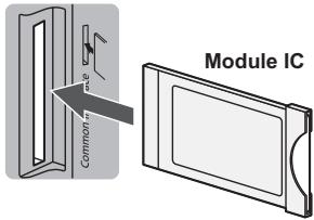 PANASONIC TX-L32XM6E - Interface commune - 1