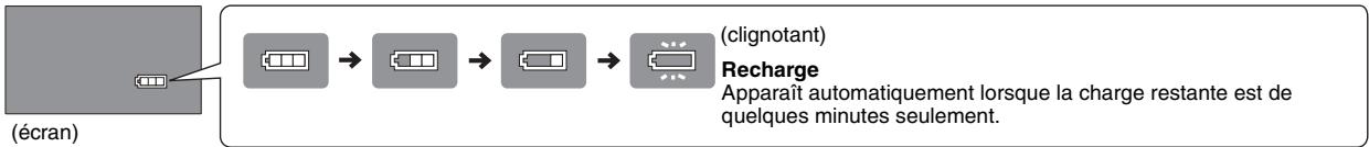 PANASONIC DVD-LS83 - Vérification de la charge de la batterie - 1