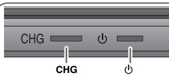 PANASONIC DVD-LS83 - Strom spare - 2