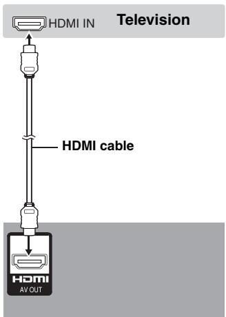 PANASONIC DVD-S52 - With HDMI compatible television - 1