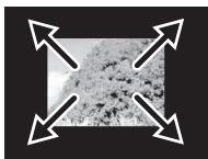 PANASONIC DVD-LS92EG - Transition effect JPEG - 14
