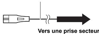 PANASONIC DMP-BD79, DMP-BD79EFK, DMPBD75 - ÉTAPE 4 : Connexion du cordon d'alimentation - 2