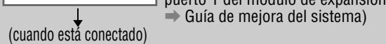 (cuando esta conectado) puerto 1 del modulo de expansión → Guía de mejora del sistema)