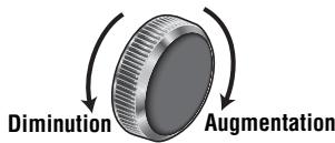 Diminution Augmentation