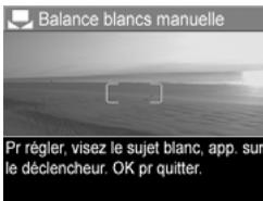 HP PHOTOSMART R707 - Balance des blancs manuelle - 1