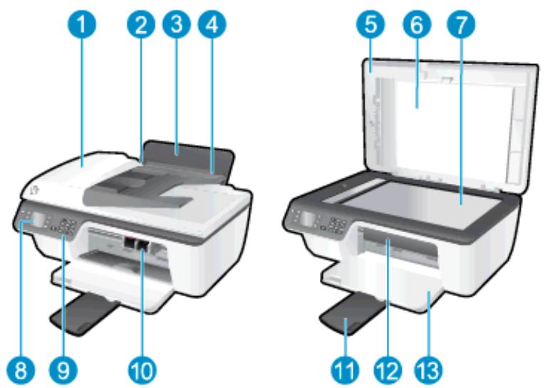 HP OFFICEJET 2622 - Composants de l'imprimante - 1
