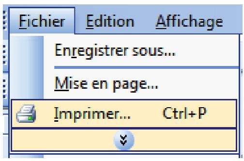 Fichier Edition Affichage Enregistrer sous... Mise en page... Imprimer... Ctrl+P