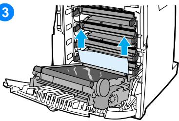 HP COLOR LASERJET 4600 - Bourrage dans le chemin d'alimentation ou dans le chemin d'impression du papier - 3