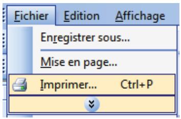 Fichier Edition Affichage Enregistrer sous... Mise en page... Imprimer... Ctrl+P