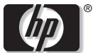 HP DESKJET 460WBT - Conseils de voyage - 4