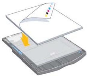 HP DESIGNJET 90 - Comment charger le papier dans le bac d'entrée ? (Imprimante de la série 90/130) - 3