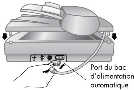 HP SCANJET 4500C - Connexion du bac d'alimentation automatique - 1