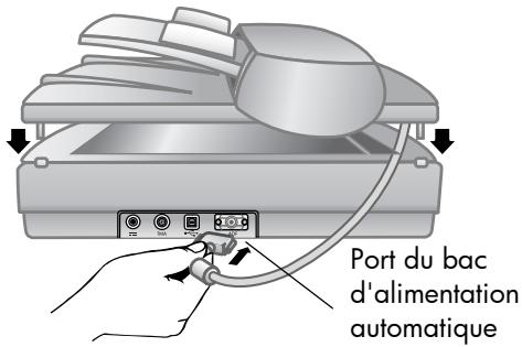 HP SCANJET 4570C - Connexion du bac d'alimentation automatique - 1