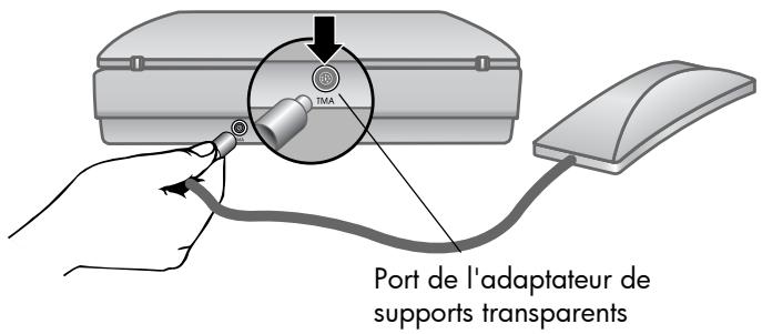 HP SCANJET 5550C - Connexion de l'adaptateur de supports transparents - 1