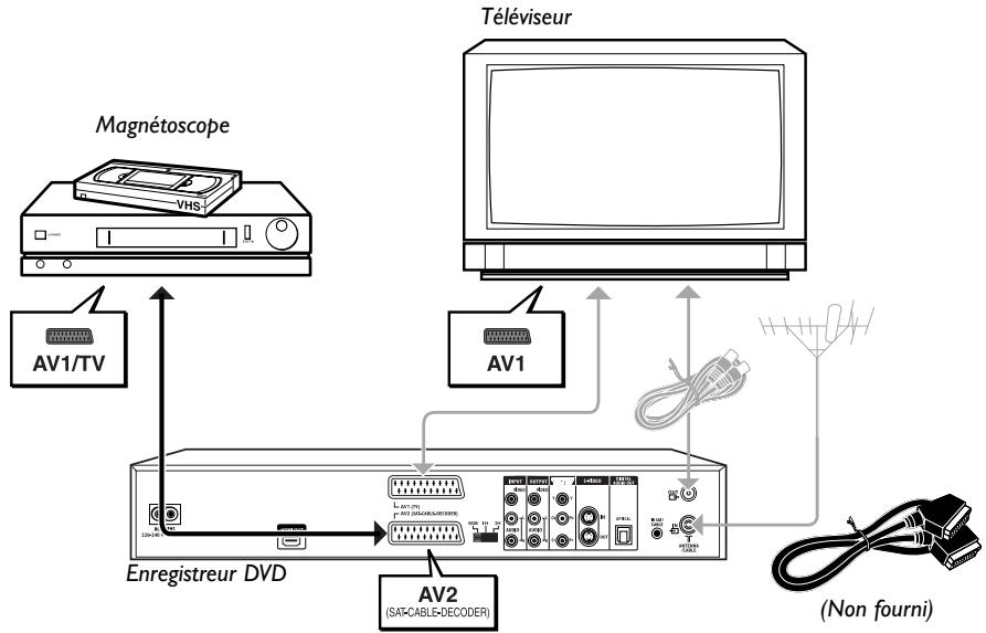 THOMSON DTH8555 - Avec un magnétoscope - 1