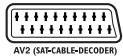 THOMSON DTH8000UB - Sortie AVI - 1